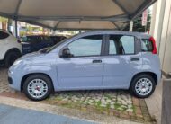 FIAT PANDA 1.0 70cv HYBRID – OK NEOPATENTATI